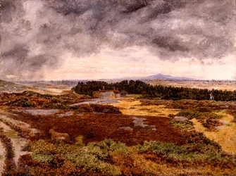 Vue depuis Bidston Hill